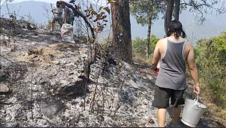 forest fire rahul dobhal